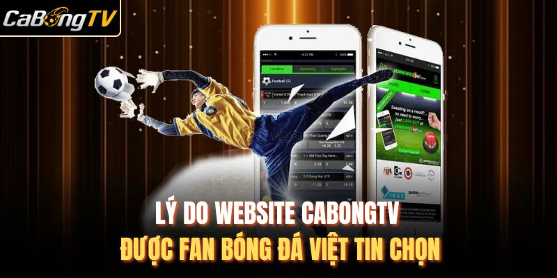 Lý Do Website Cabongtv Được Fan Bóng Đá Việt Tin Chọn